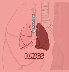 Lungs In Cartoon Design For Health Template