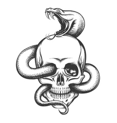 Snake and Skull Royalty Free Vector Image - VectorStock