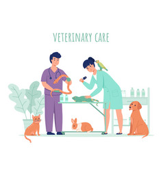 Vet With Many Cats Royalty Free Vector Image - Vectorstock