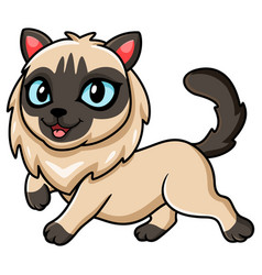 Cute Balinese Cat Cartoon Walking