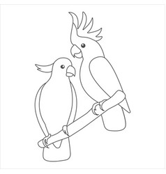 Australian Doodle Parrots Couple Cartoon Cockatoo