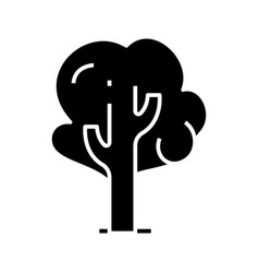 Broad Leaved Tree Black Icon Concept