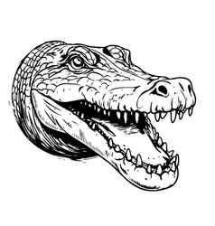 Crocodile Head Sketch Hand Drawn In Doodle Style