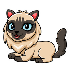 Cute Balinese Cat Cartoon Sitting