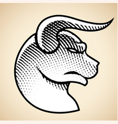 Scratchboard Engraved Bull Profile View With