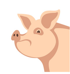 Face Funny Pig Flat Style Side