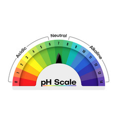 Ph Scale Value Meter Or Diet Acids Measure Chart