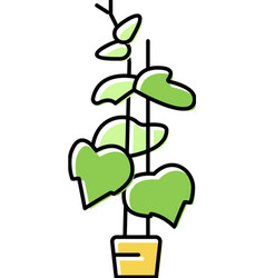 Plant Cucumber Color Icon