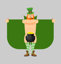 Leprechaun Exhibitionist And Pot Gold St