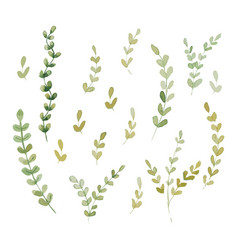 Watercolor Botanical Clipart Set Of Green Leaves