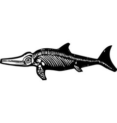 Ichthyosaur Dinosaur Fossil