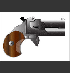 Derringer Pistol