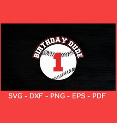 Birthday Dude1st 1 Year Old Boys Vintage Baseball