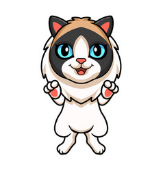 Cute Rag Doll Cat Cartoon