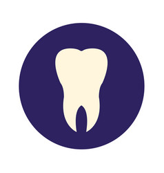 Human Tooth Flat Icon