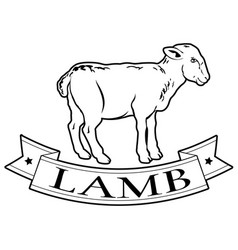 Lamb Food Label