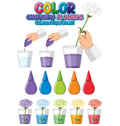 Color Changing Flowers Science Experiment