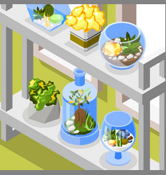 Plants Isometric Background