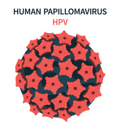 Cell Structure Human Papillomavirus Hpv