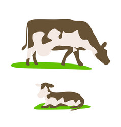 Cow And Calf