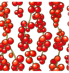 Schisandra Berries Pattern