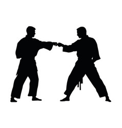 Two Men Practicing Karate Silhouette