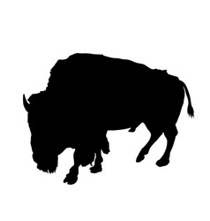 Bison Silhouette Isolated