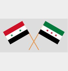 Flags Of Syrian And National Coalition