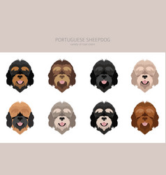 Portuguese Sheepdog Clipart Different Poses Coat