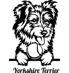 Peeking Yorkshire Terrier Dog - Dog Lover Owner