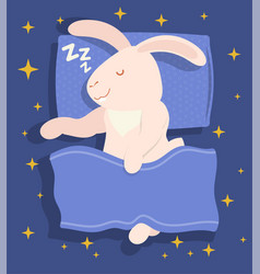 Rabbit Hare Is Serenely Sound Asleep On Pillow