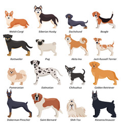 Profile dogs icon set Royalty Free Vector Image