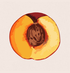 Hand Drawn Apricot Sticker