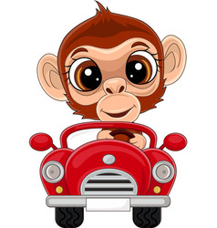 Cartoon Baby Monkey Driving Red Car