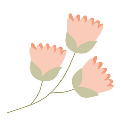 Pastel Orange Flower In Flat Style Isolated