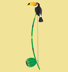 Berimbau And Toucan