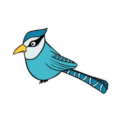 Blue Jay Bird Comical Character Winter