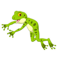 Cartoon Funny Frog Leaping On White Background