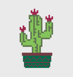 Mexican Cactus And Aloe Pixel Art Desert Spiny