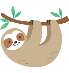 Sloth Hanging On Tree