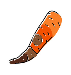 Carrot Rotten Food Color Icon