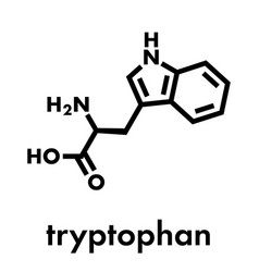 Tryptophan L-tryptophan Trp W Amino Acid Molecule