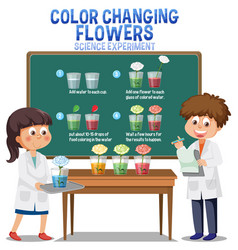 Color Changing Flowers Science Experiment