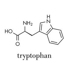 Tryptophan L-tryptophan Trp W Amino Acid Molecule