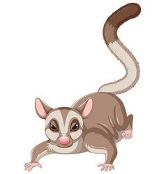 A Cute Cute Sugar Glider Cartoon Character