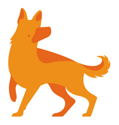 Orange Logo