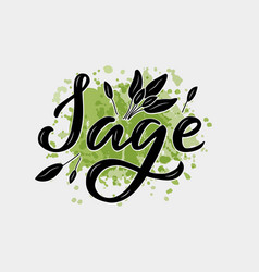 Sage Black Word On Green Watercolor Background