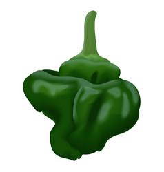 Green Scotch Bonnet Peppers