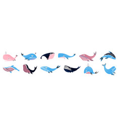 Cartoon Whales Cute Sea Animal Humpbacks And