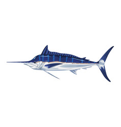 Marlin Marine Life Animal